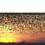 header3